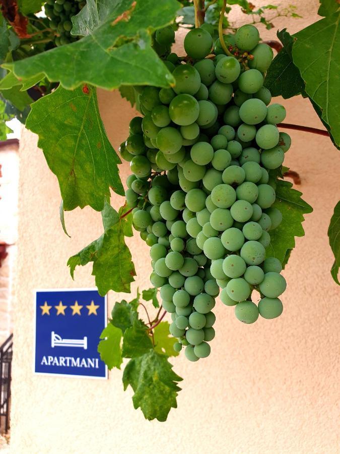 Apartments Lucky Lozovac Luaran gambar